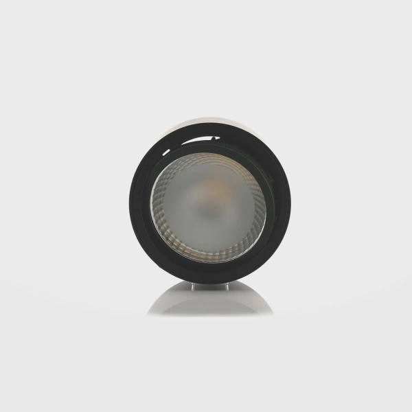 Surface downlight Nella Adjustable 12V 3CCT LED 12W BLK